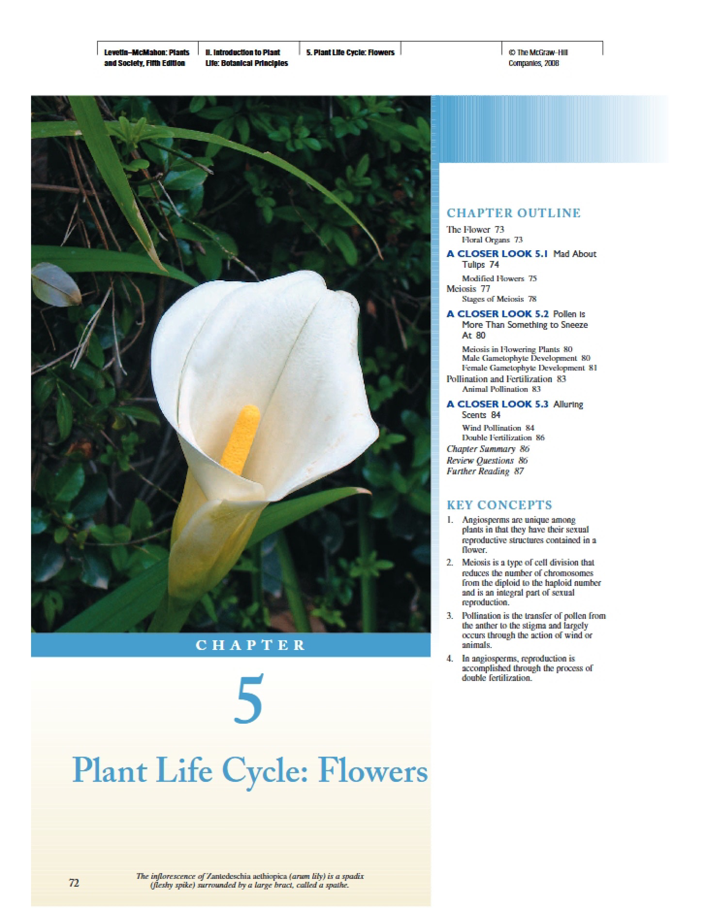 Flowers in Plant Life Cycles