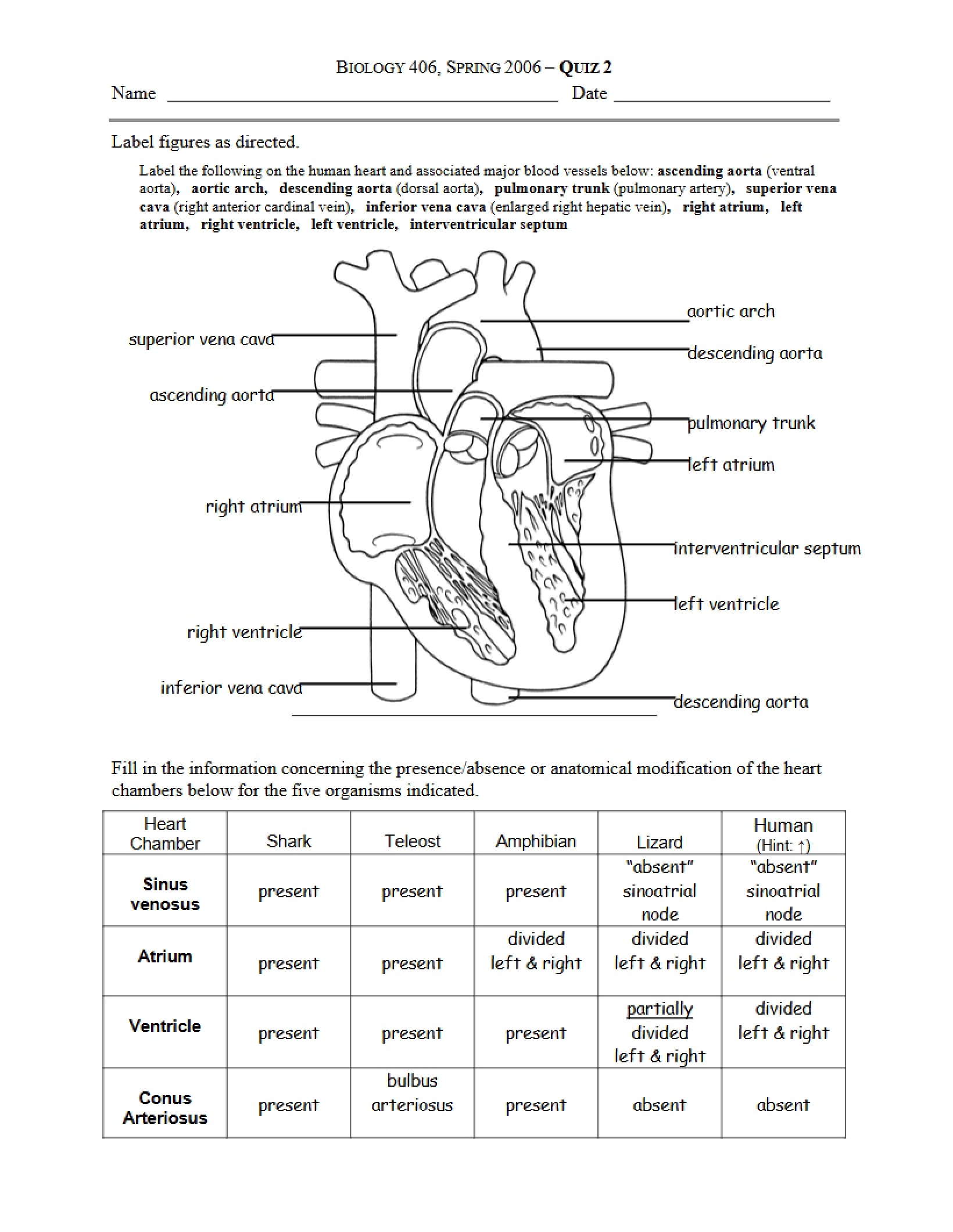 Guide for Anatomy Study