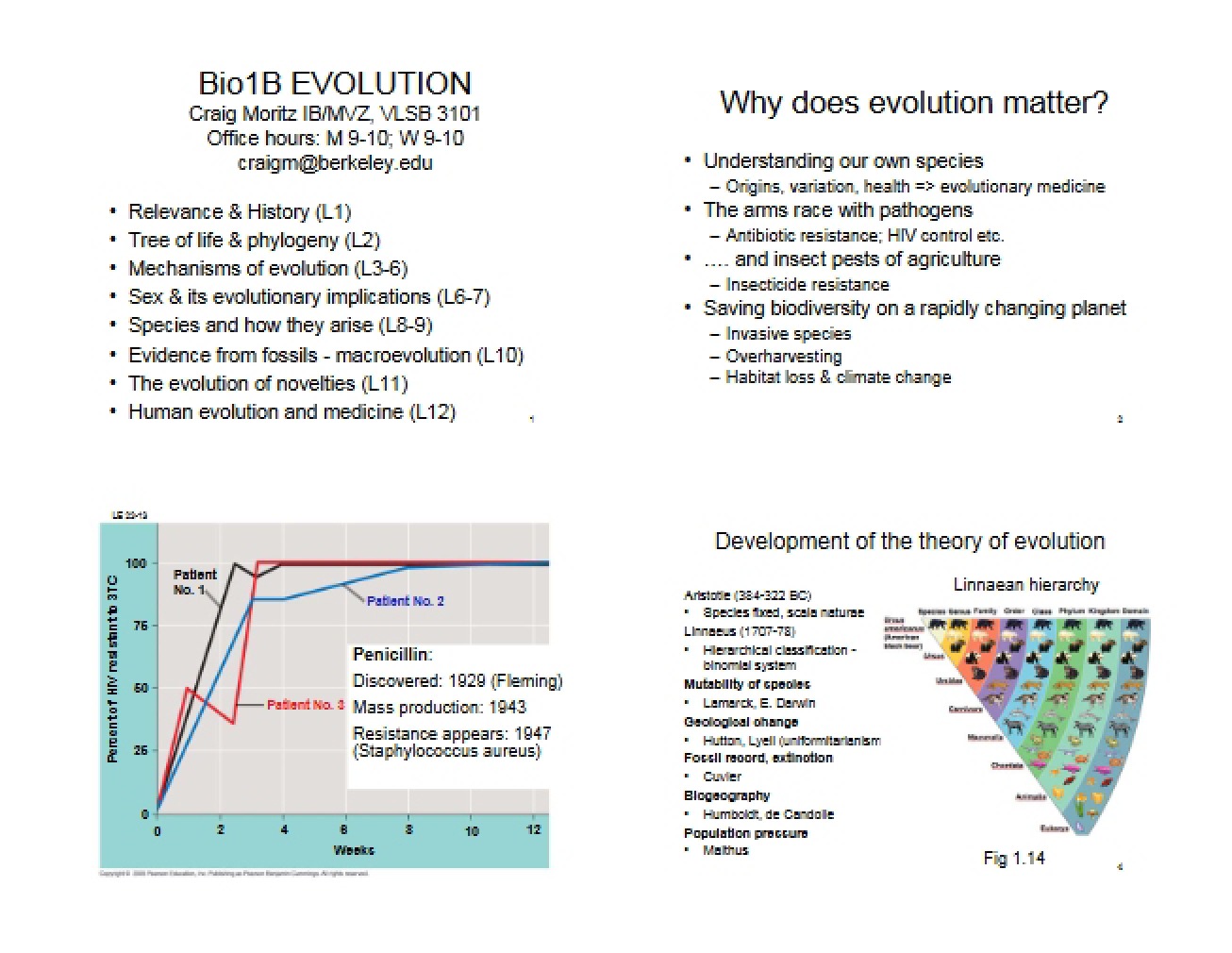 Evolutionary Concepts