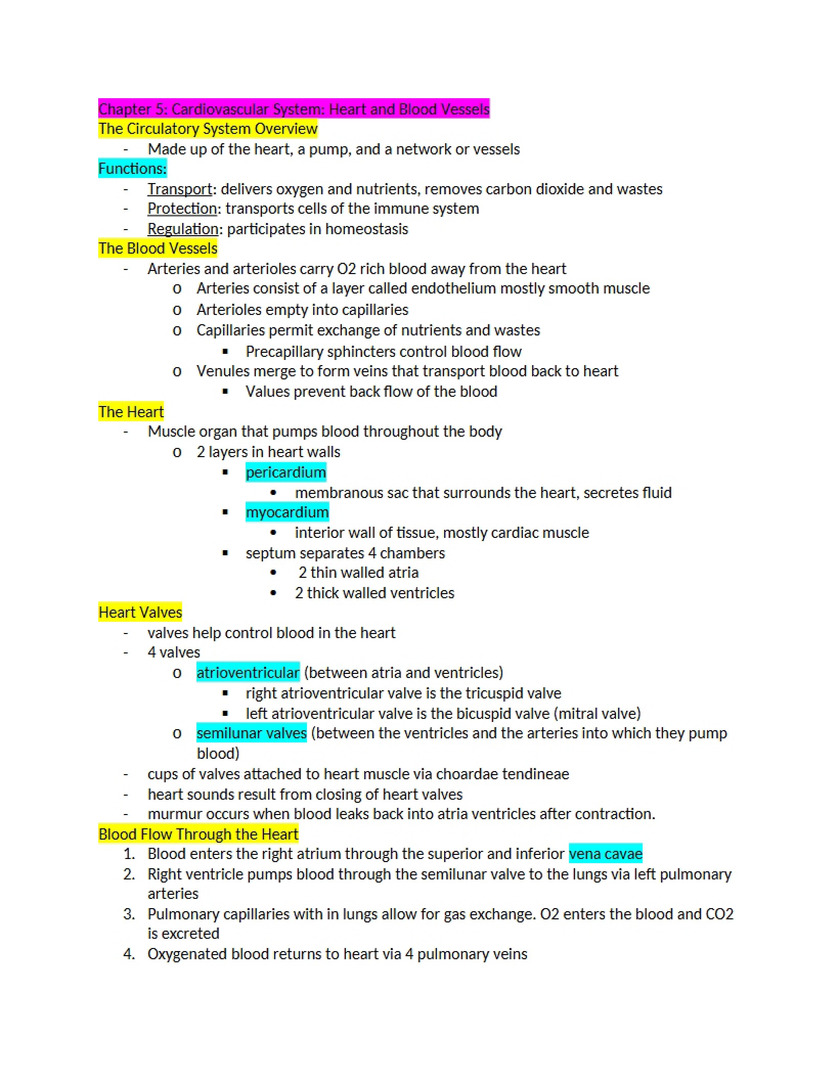 Blood Vessels and Heart Cardiovascular System Chapter Five
