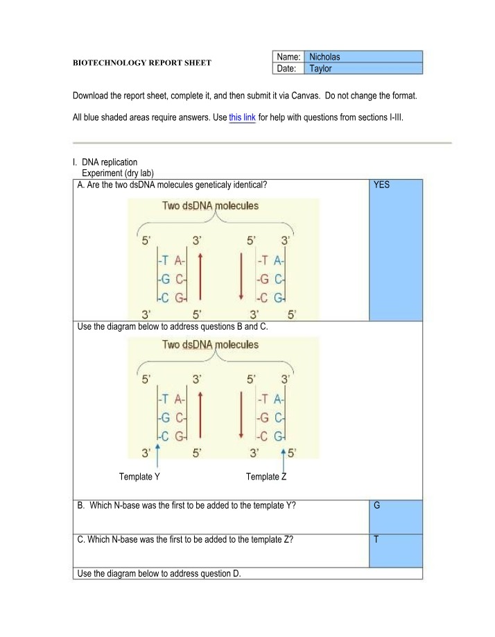 Biotechnology Report - DNA Replication and Transcription