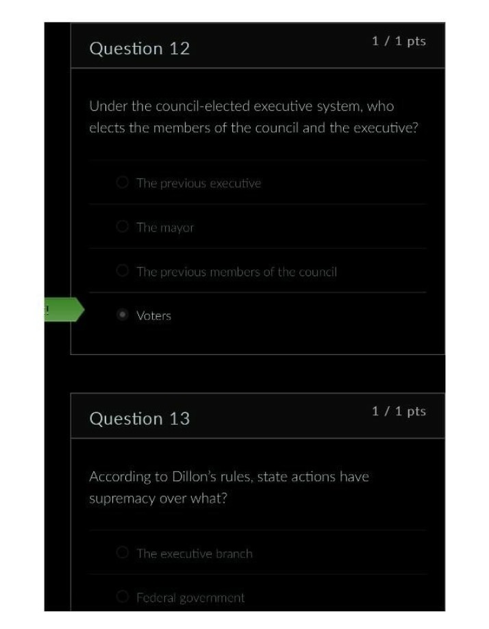 Questions 12 and 13 - Council and Executive Elections