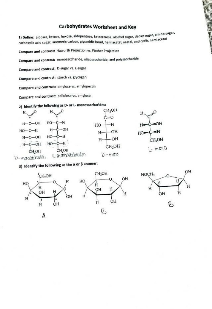Carbohydrates Key and Worksheet