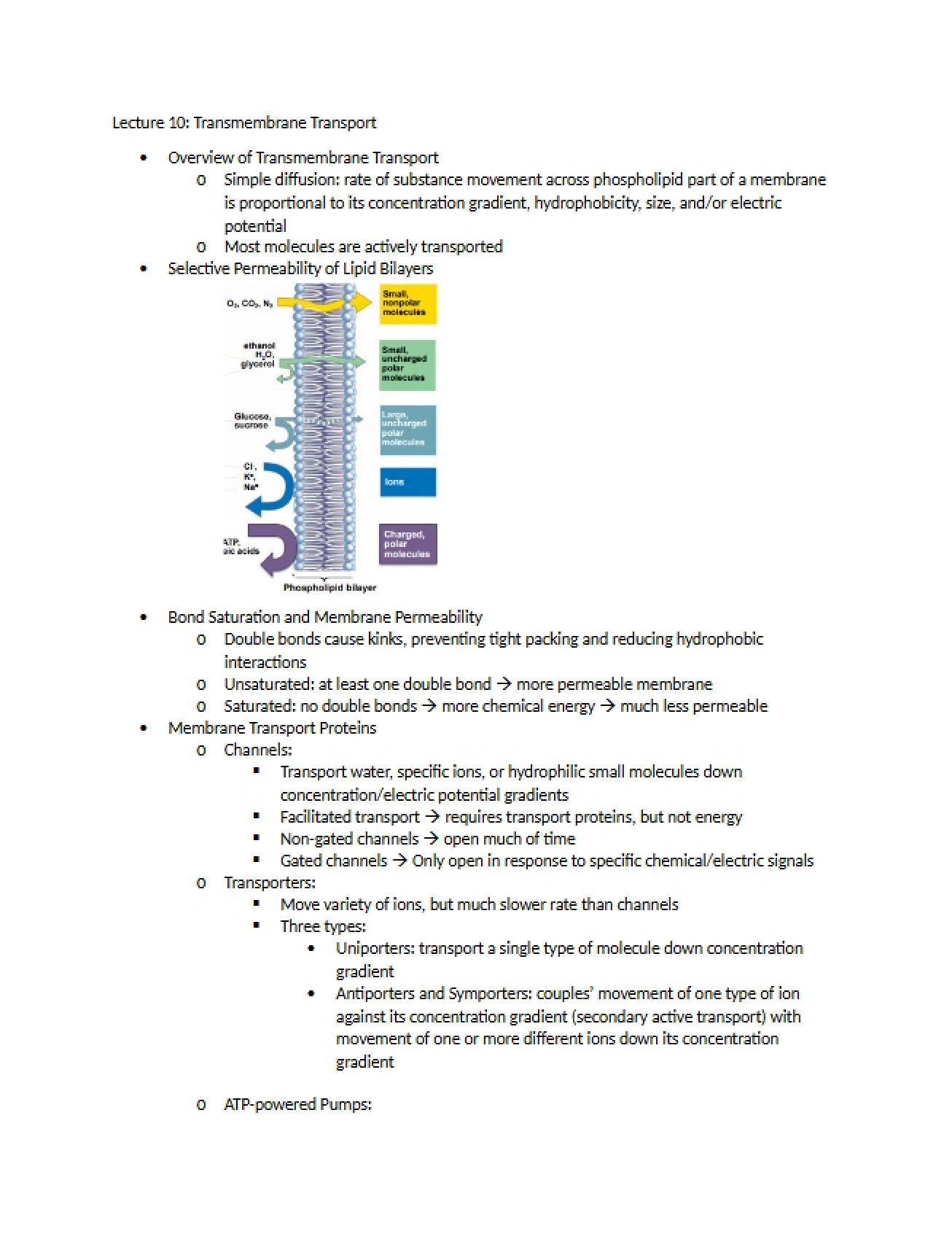 Transport Across Membranes
