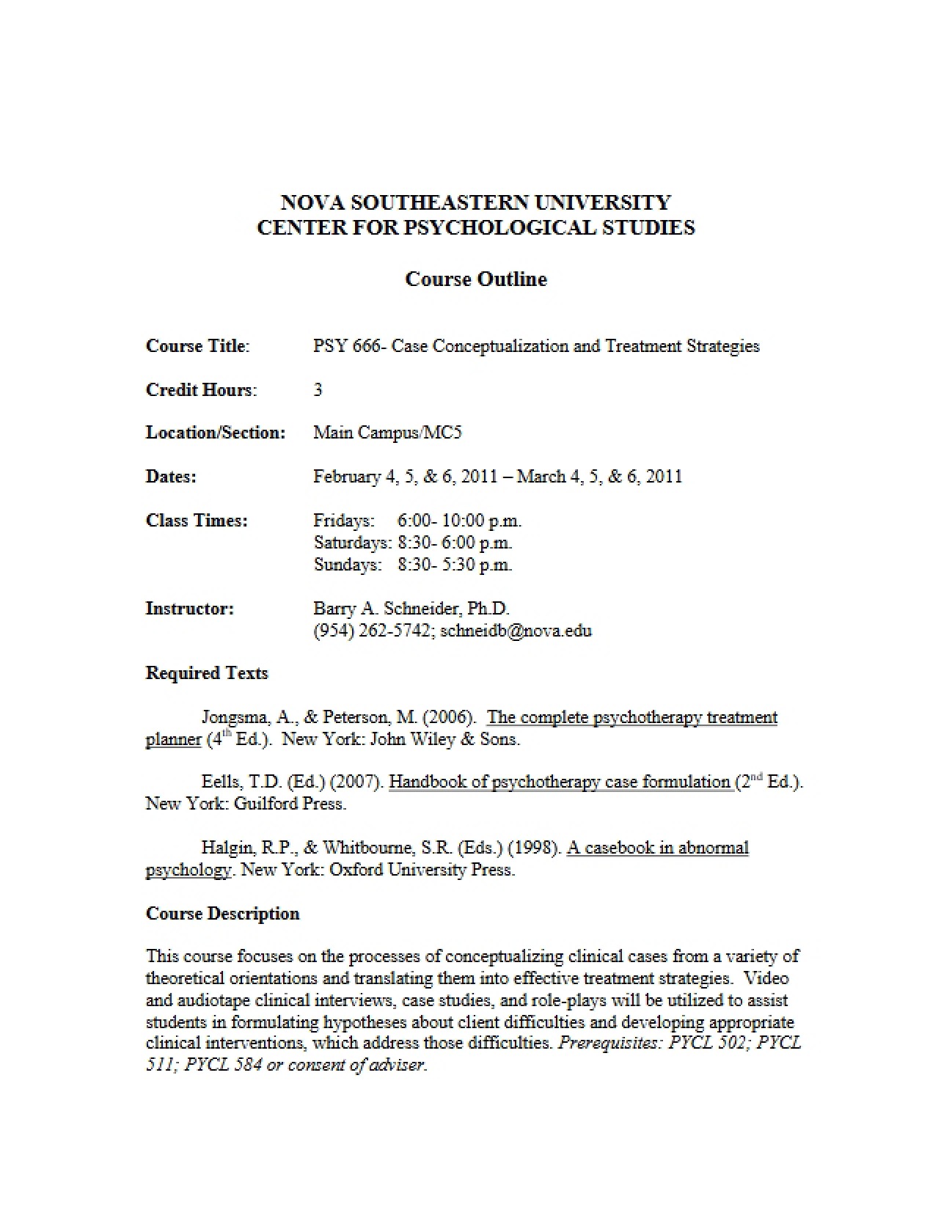 Treatment Strategies and Conceptualization Outline