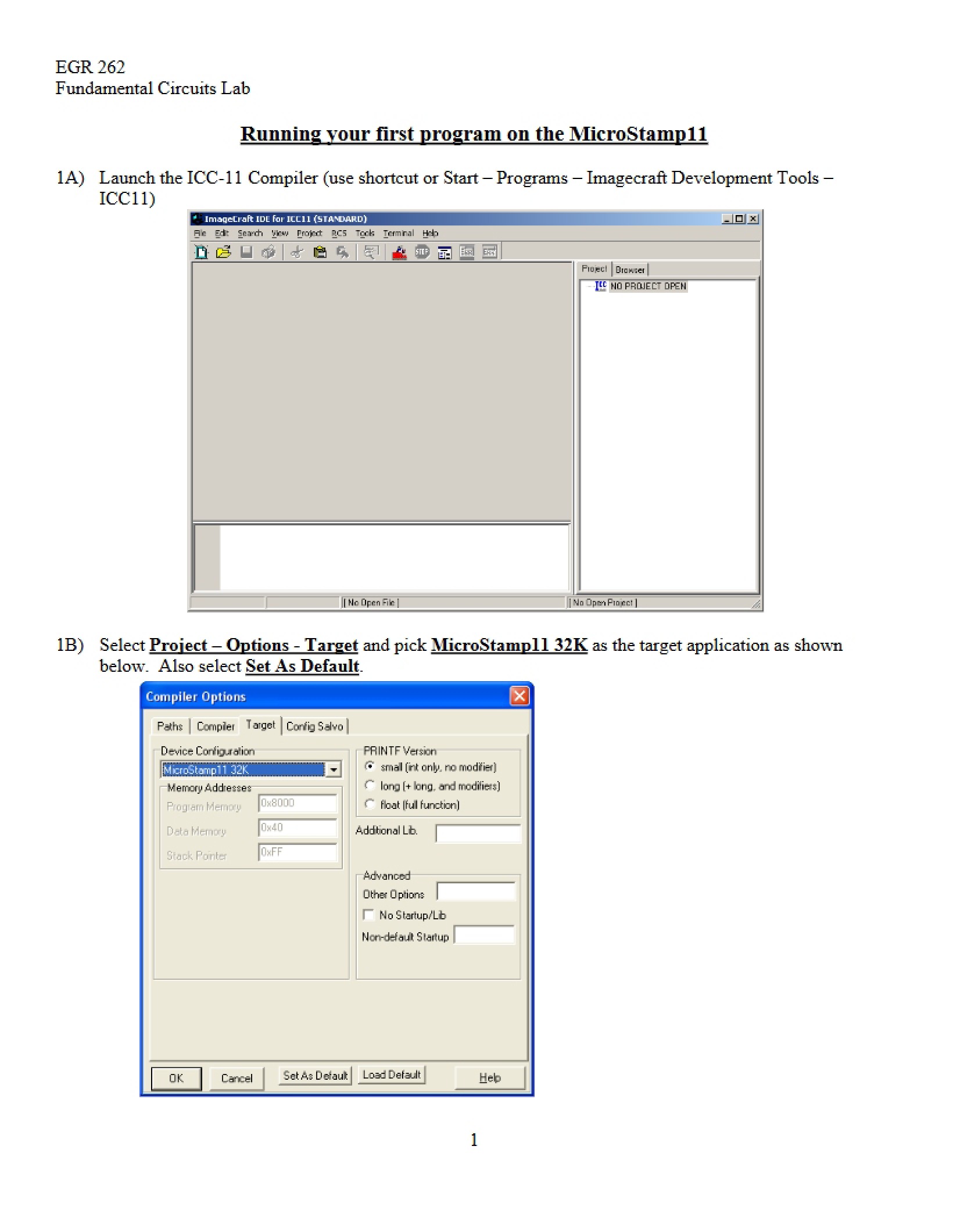 MicroStamp First Program Execution