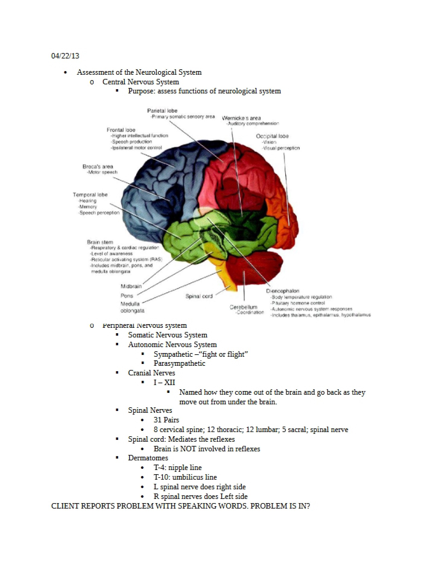 Exam 3 Neurological Systems