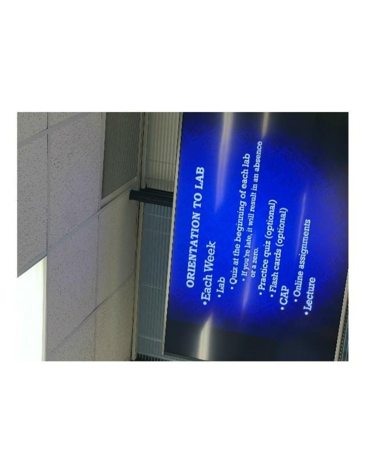 Weekly Quizzes and Lab Orientation
