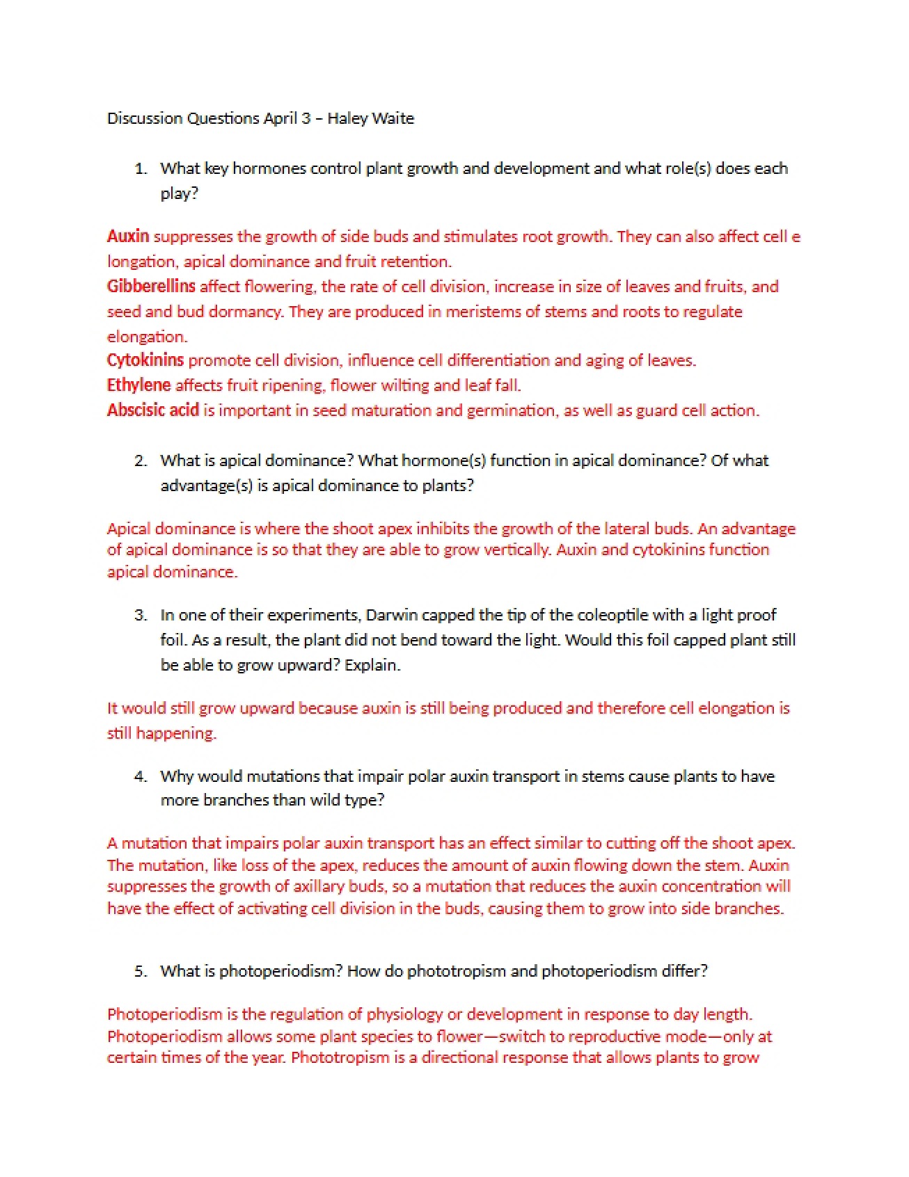 Haley Waite Discussion Queries (April 3)