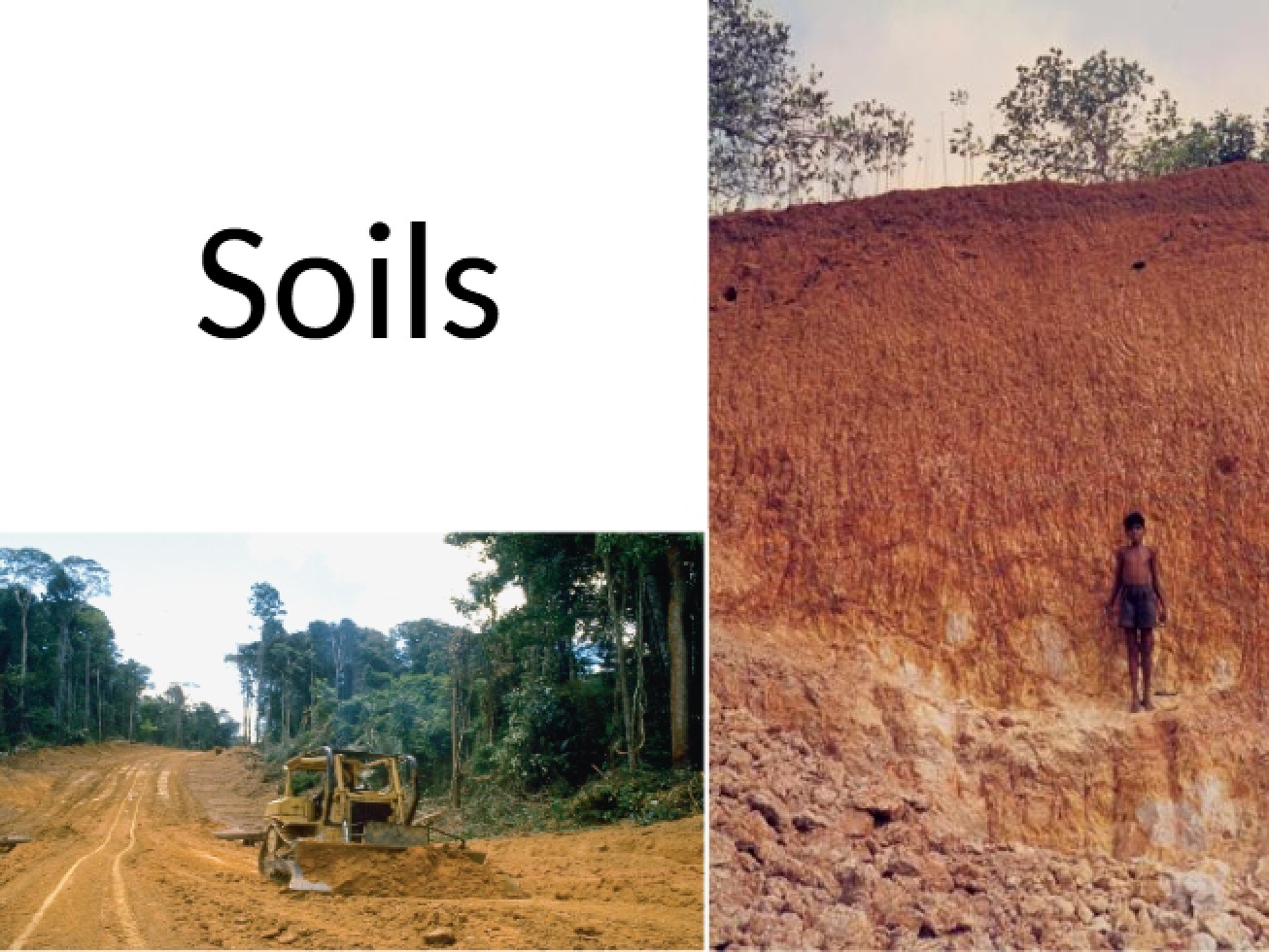Soil Science Overview