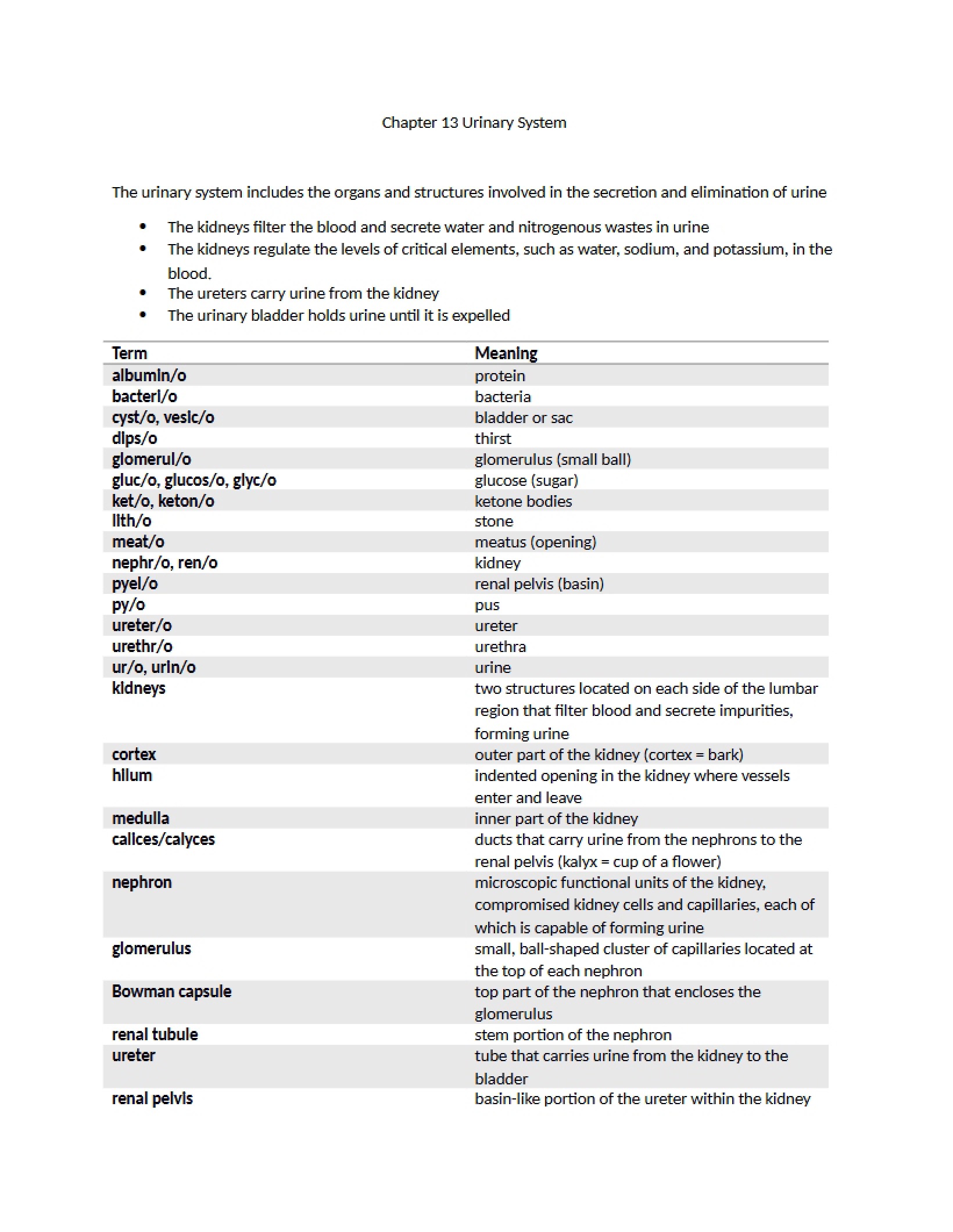 System of the Urinary Tract - Chapter 13