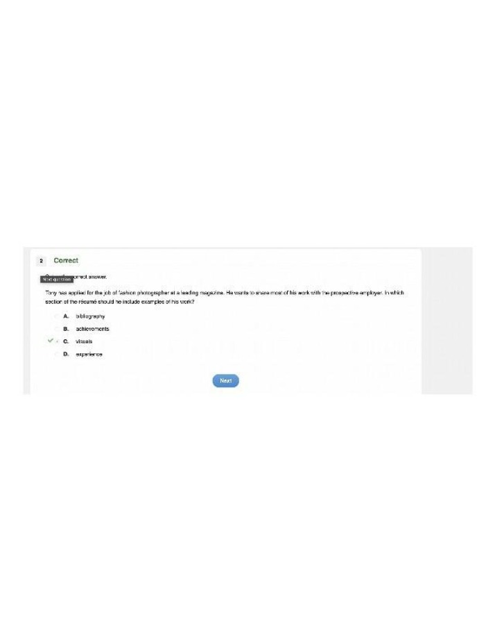 Work Examples in the Visuals Section