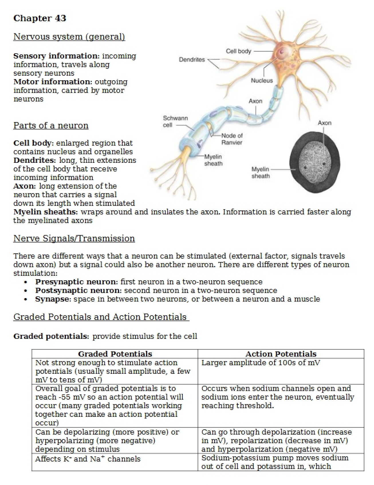 Nervous System (Ch. 43)