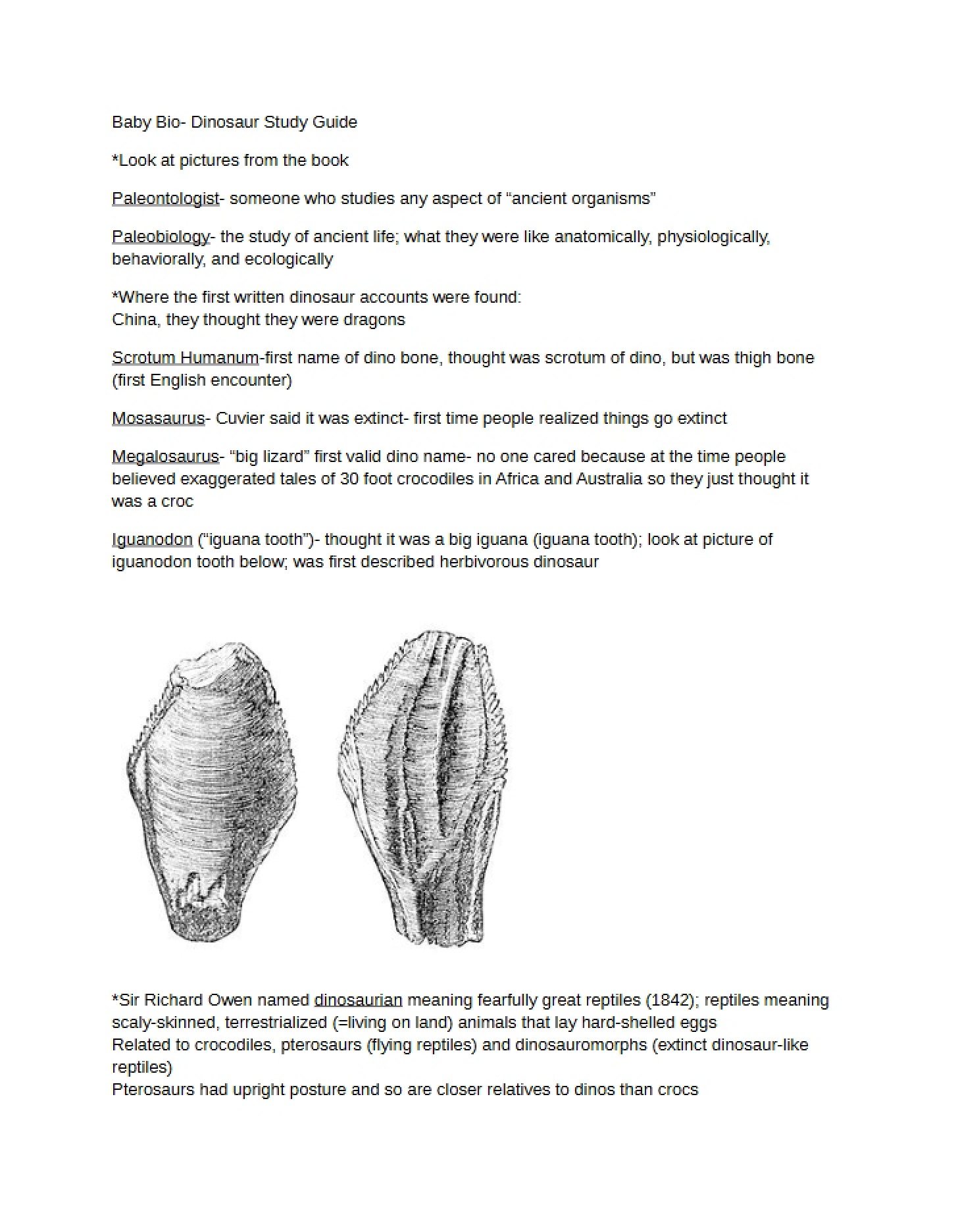Paleontological Study Dinosaur Overview