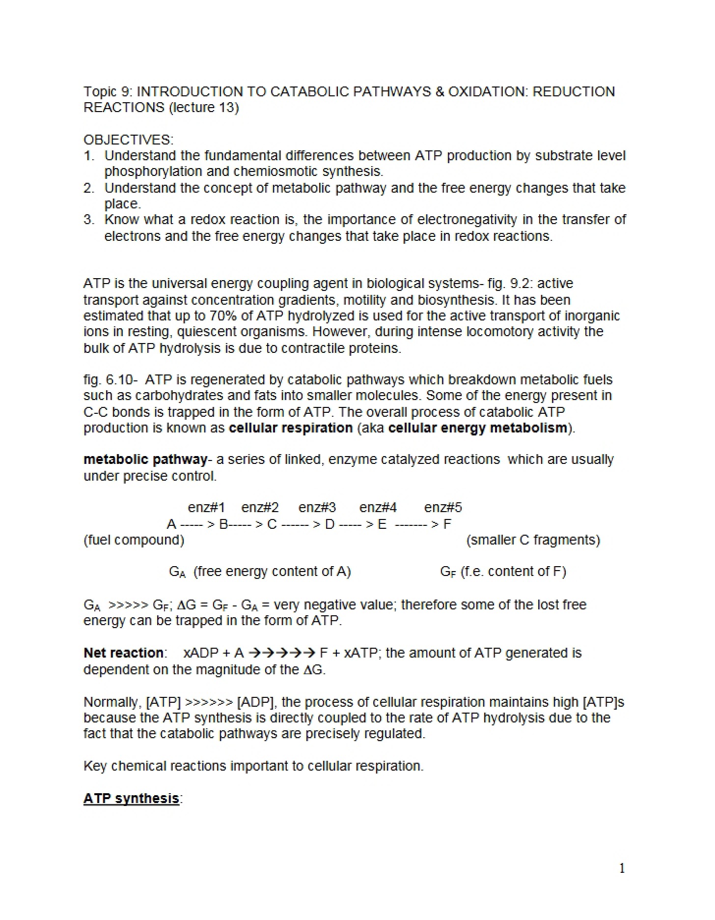 Thirteenth Session Academic Annotations