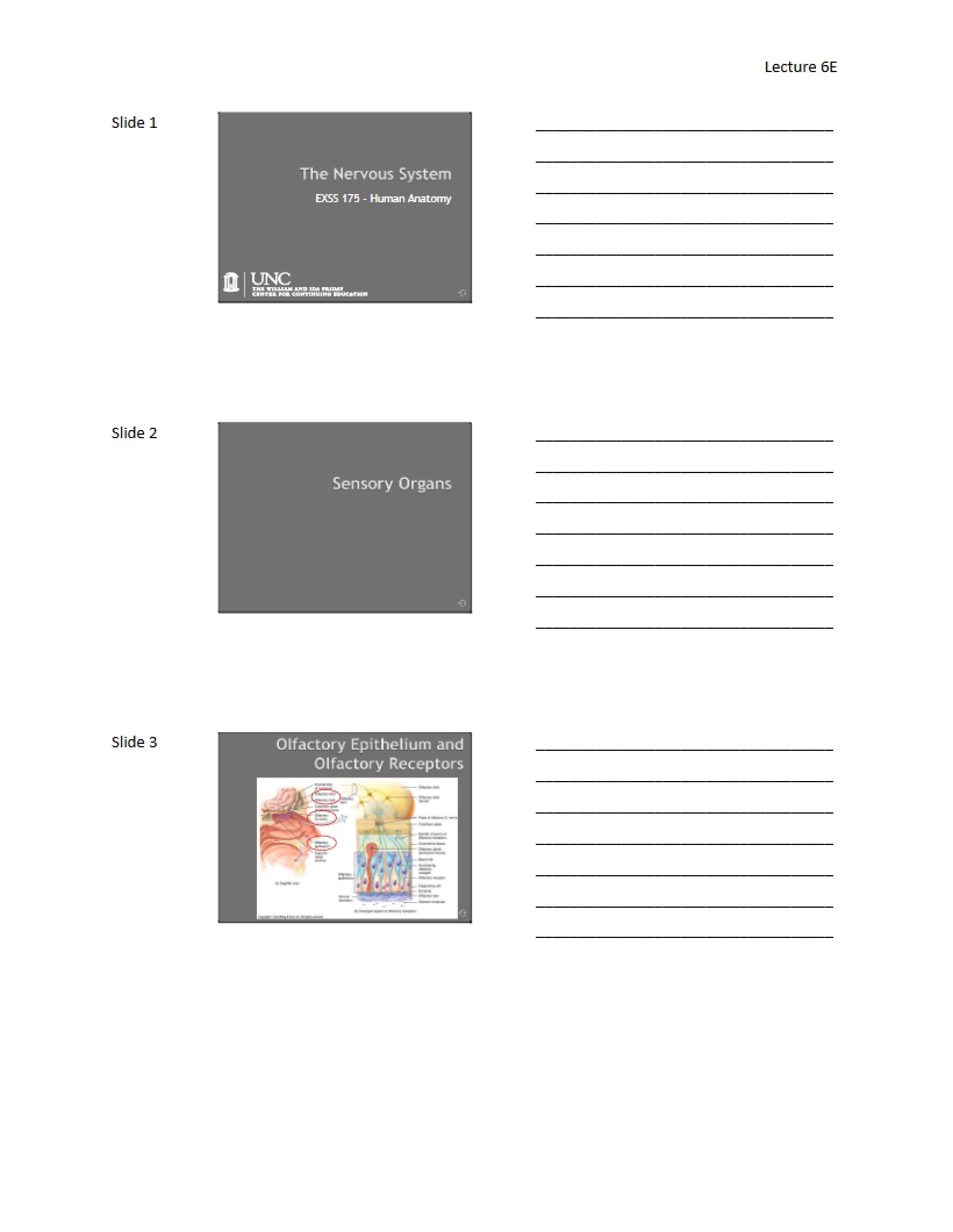 Sixth Lecture Part E