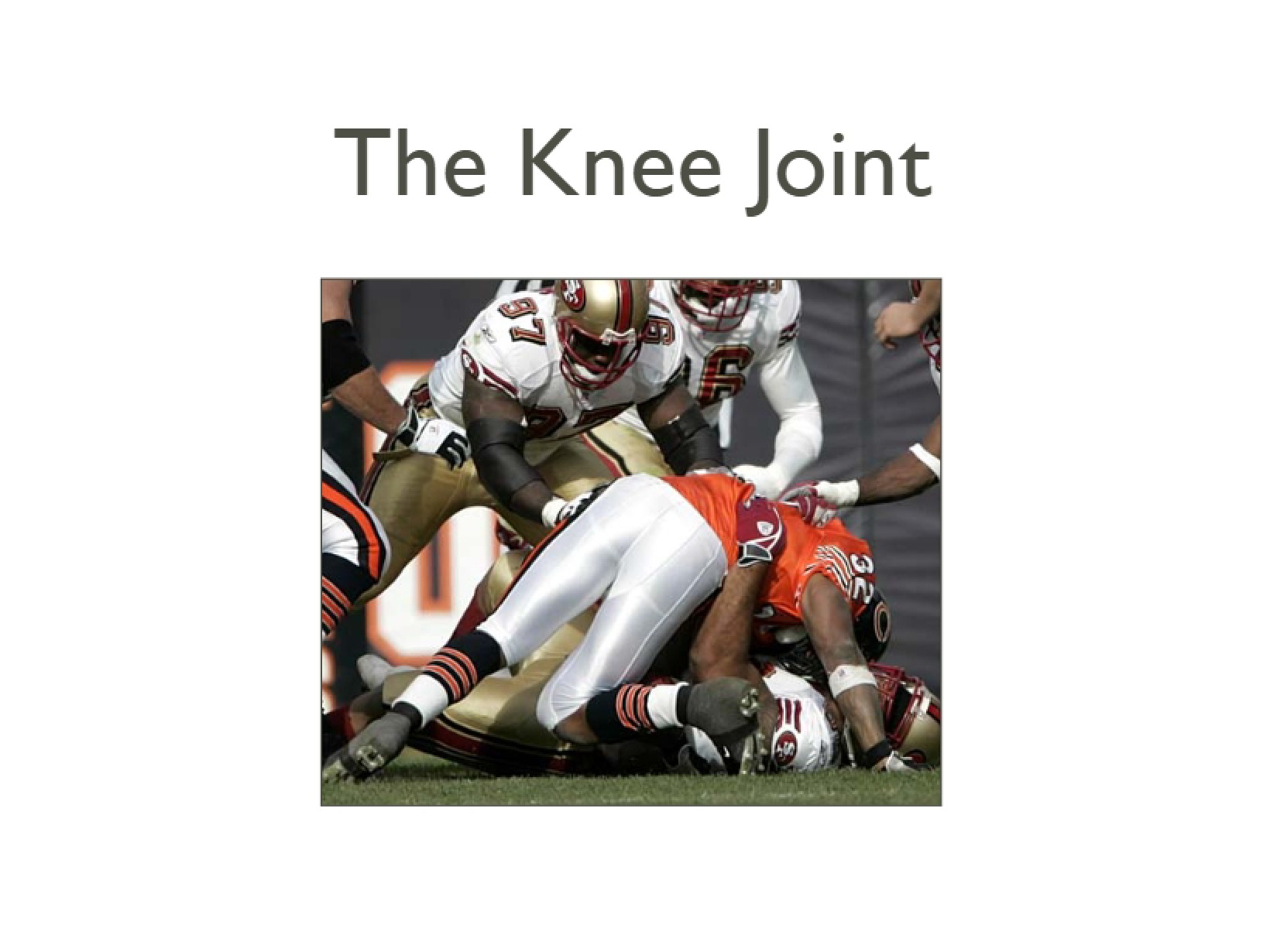 Anatomy of the Knee Joint