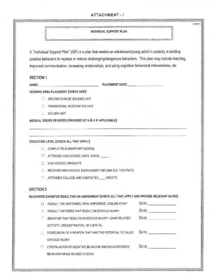 Plan for Individual Support