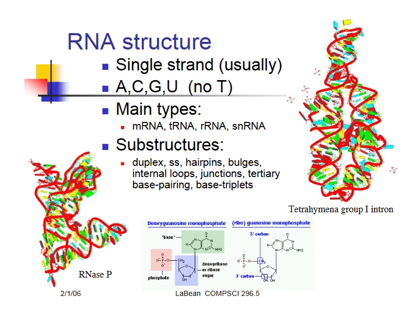 Structure of RNA