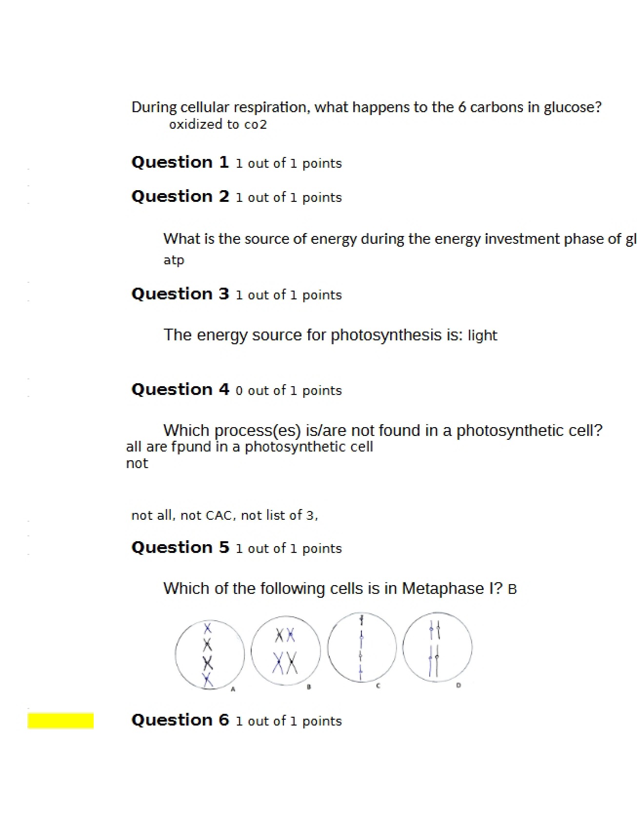 Third Test for Introductory Biology I