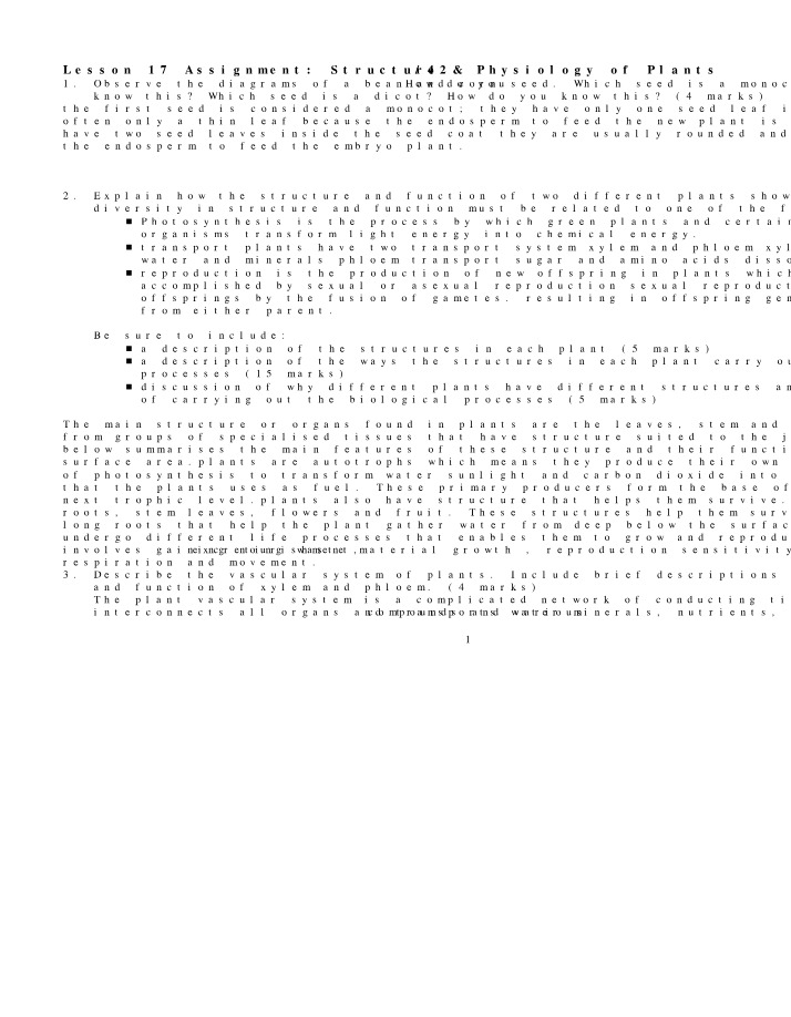 Assignment for Lesson 17