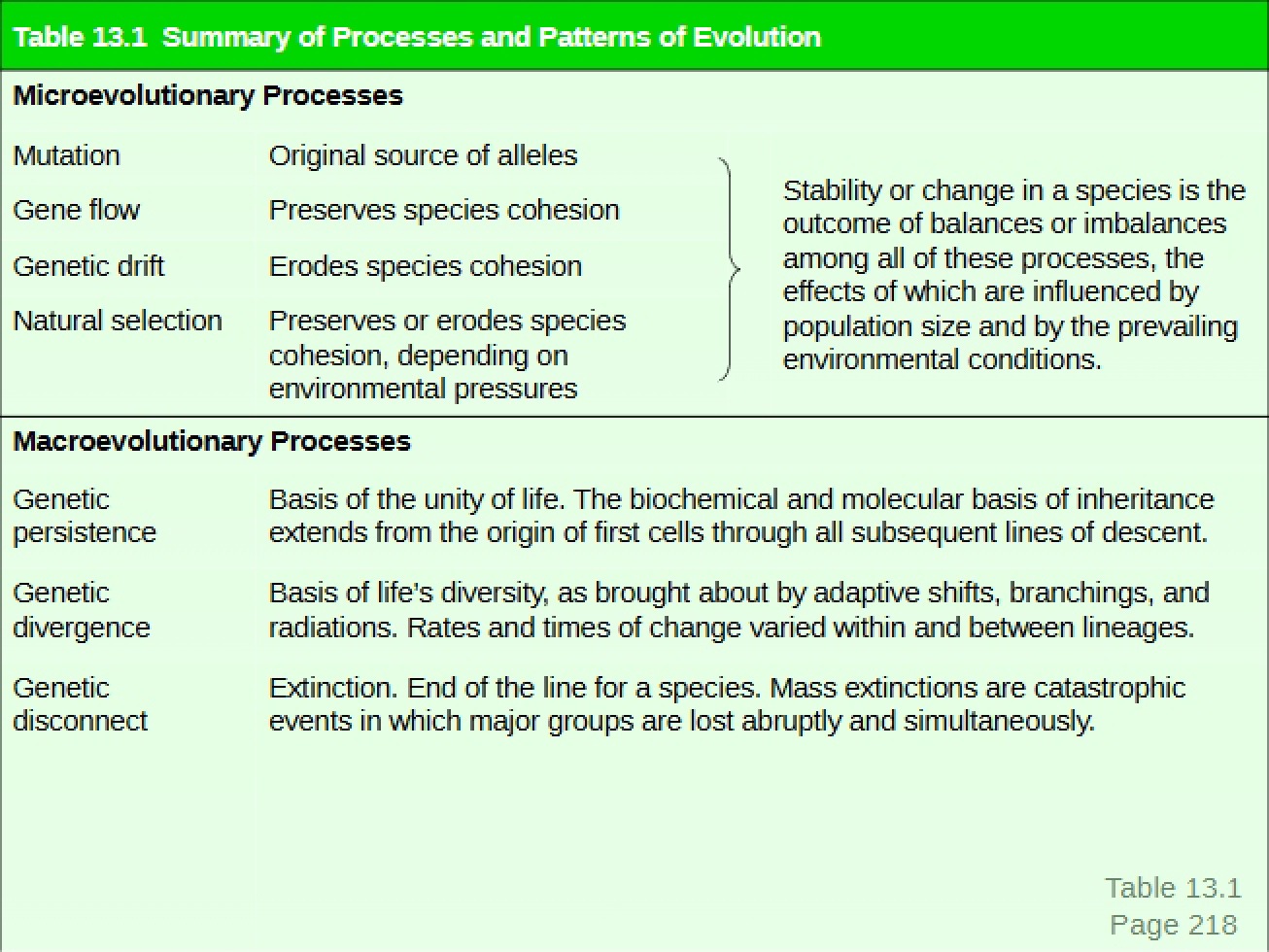 Evolutionary Patterns and Biological Processes Summary