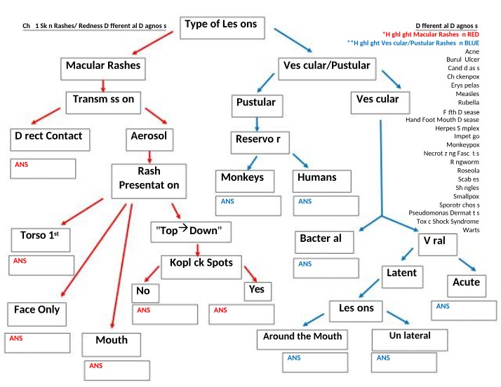 Differential Diagnosis - Macular and Vesicular Skin Rashes