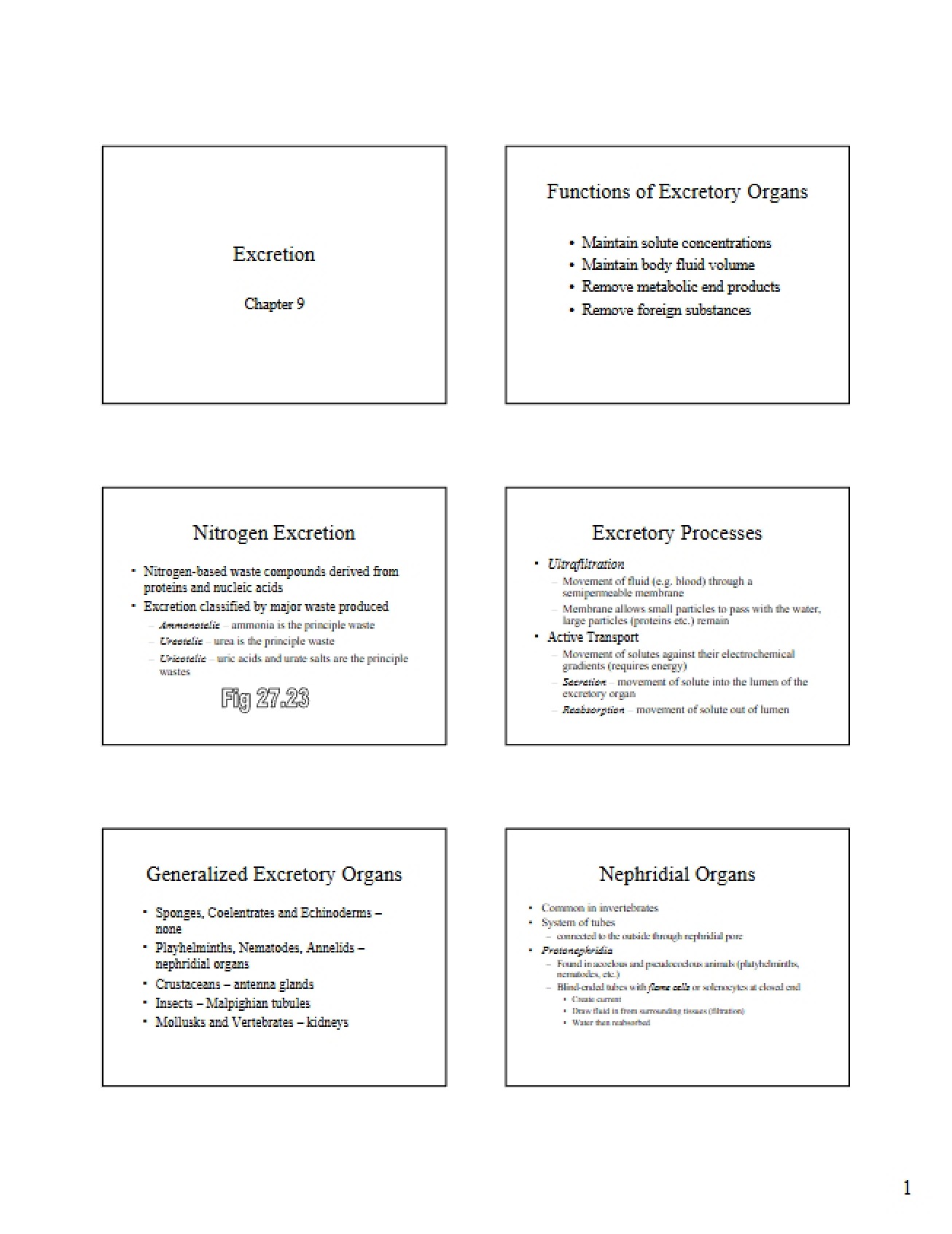 Excretory Processes