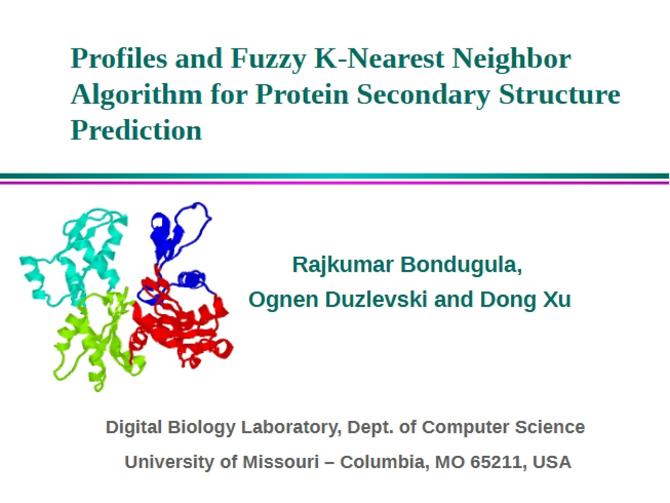 Secondary Structure Prediction Algorithm for Proteins
