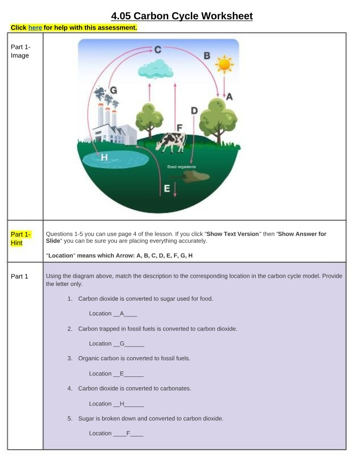 Worksheet for 4.05 Carbon Cycle