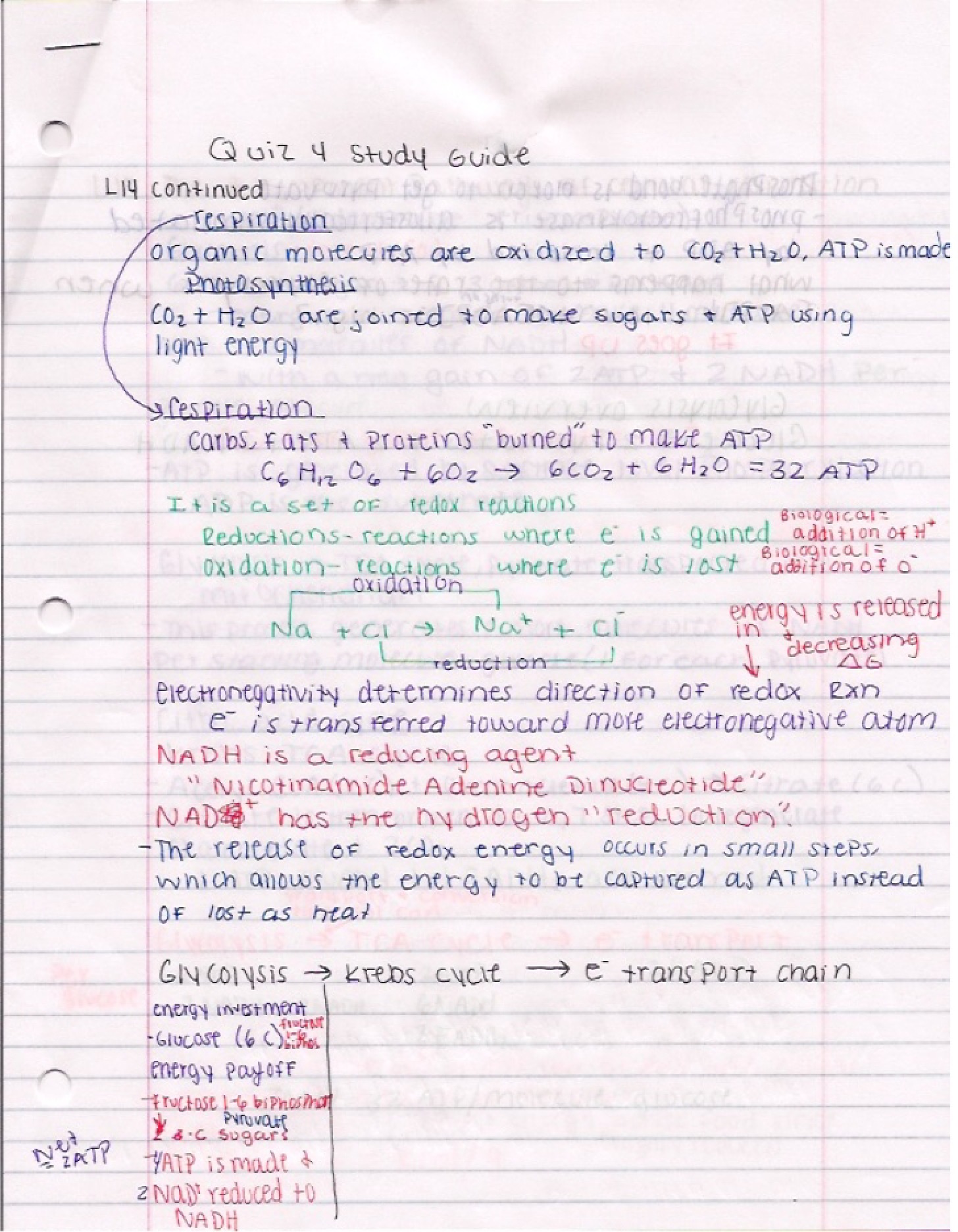 Systematic Study Strategy for Evaluations