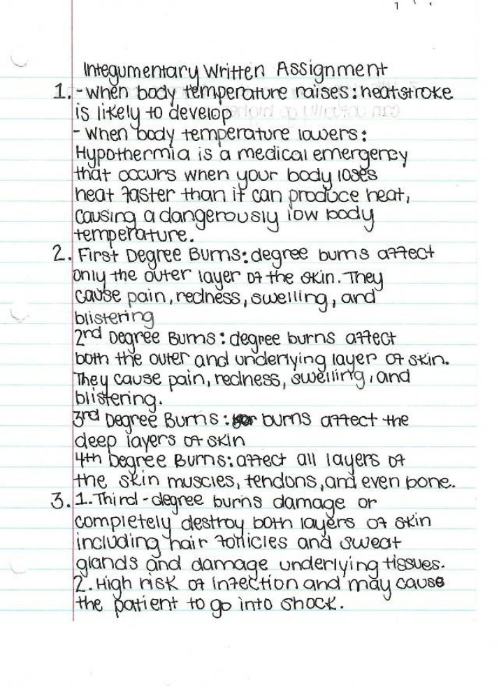 Written Assignment - Integumentary System