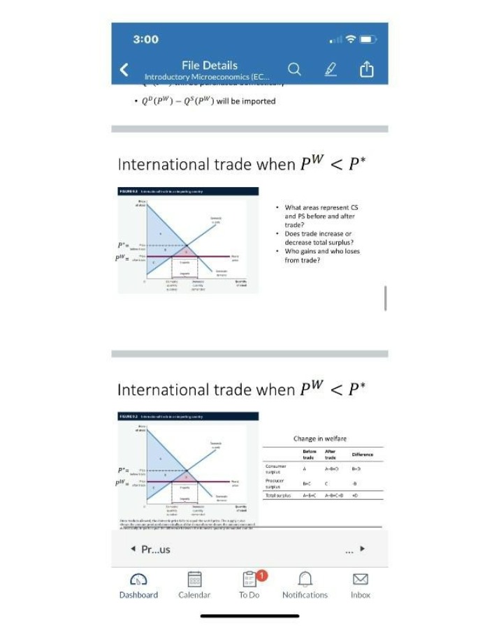 Impact on Surplus - International Trade in an Importing Country