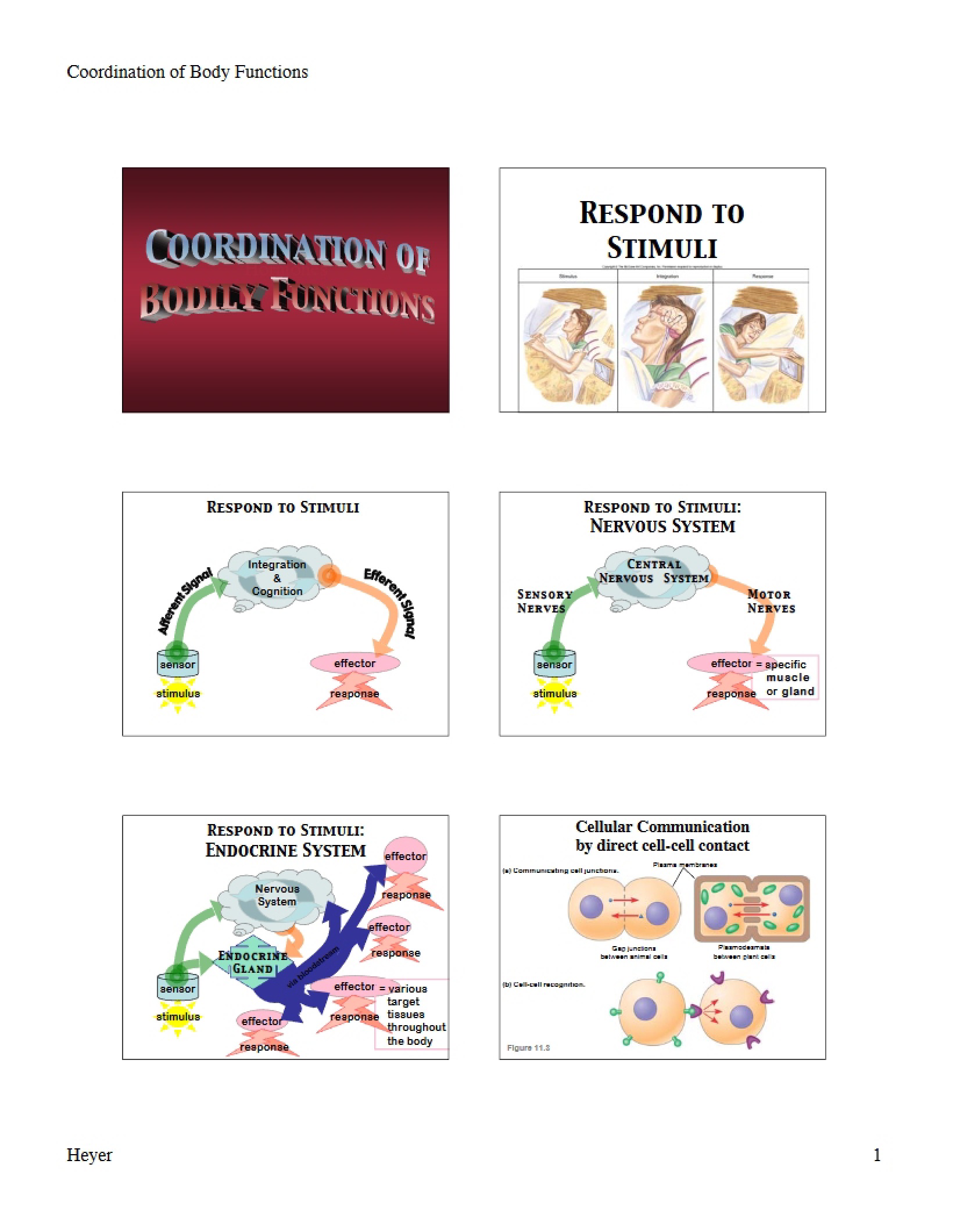 Body Function Coordination