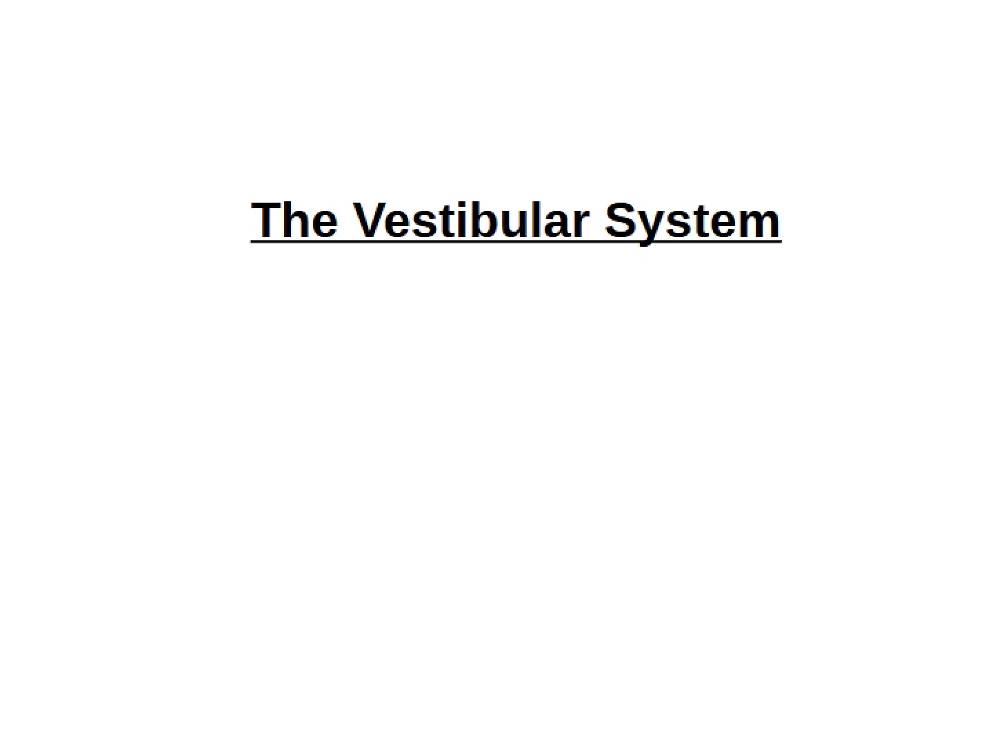 Overview of the Vestibular System