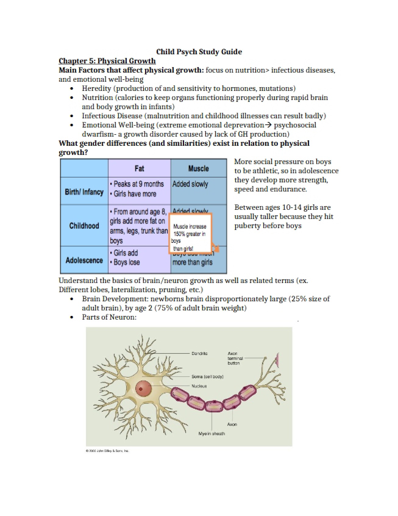 Study Guide for Child Psychology, Part 1