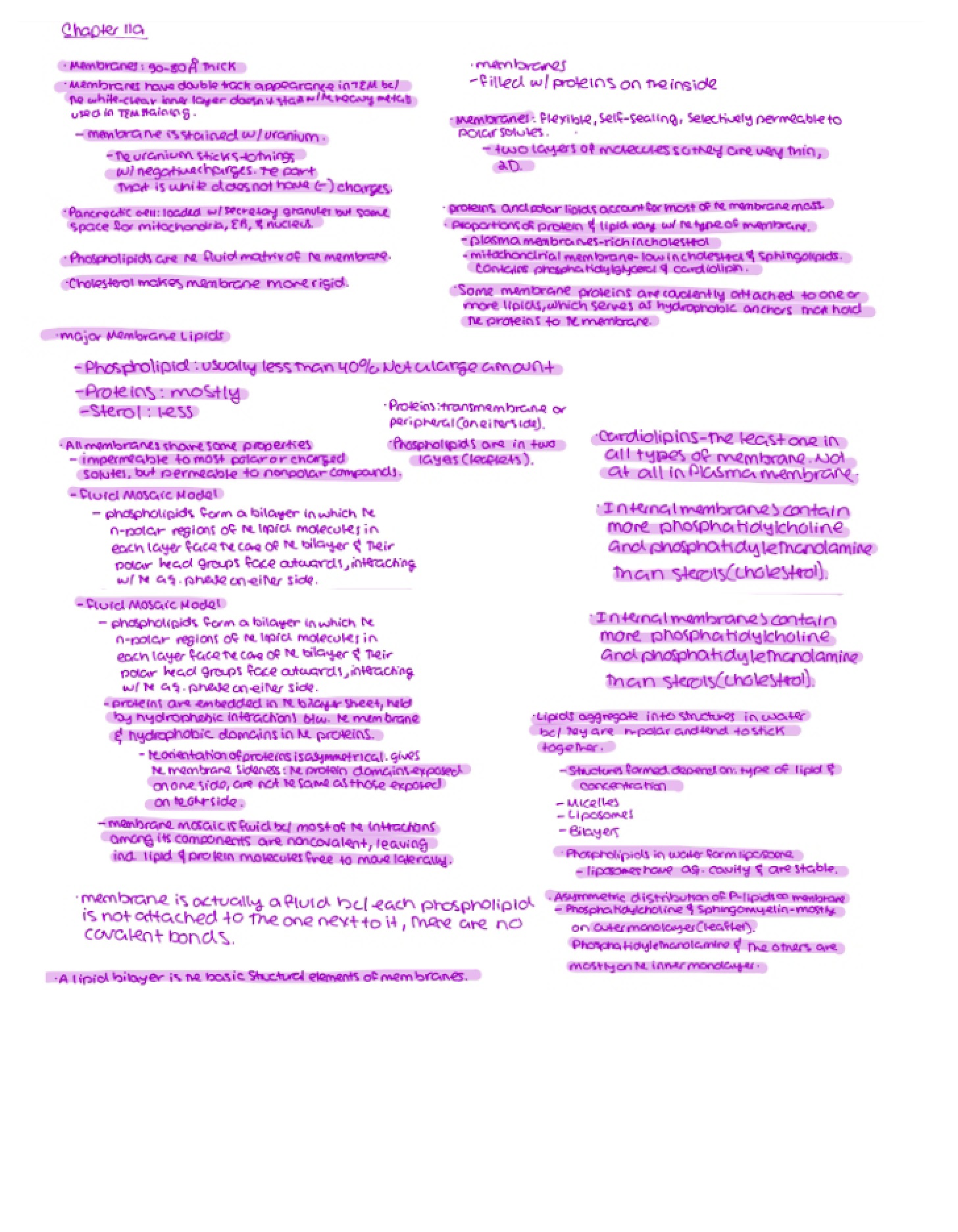 Notes on Course Material