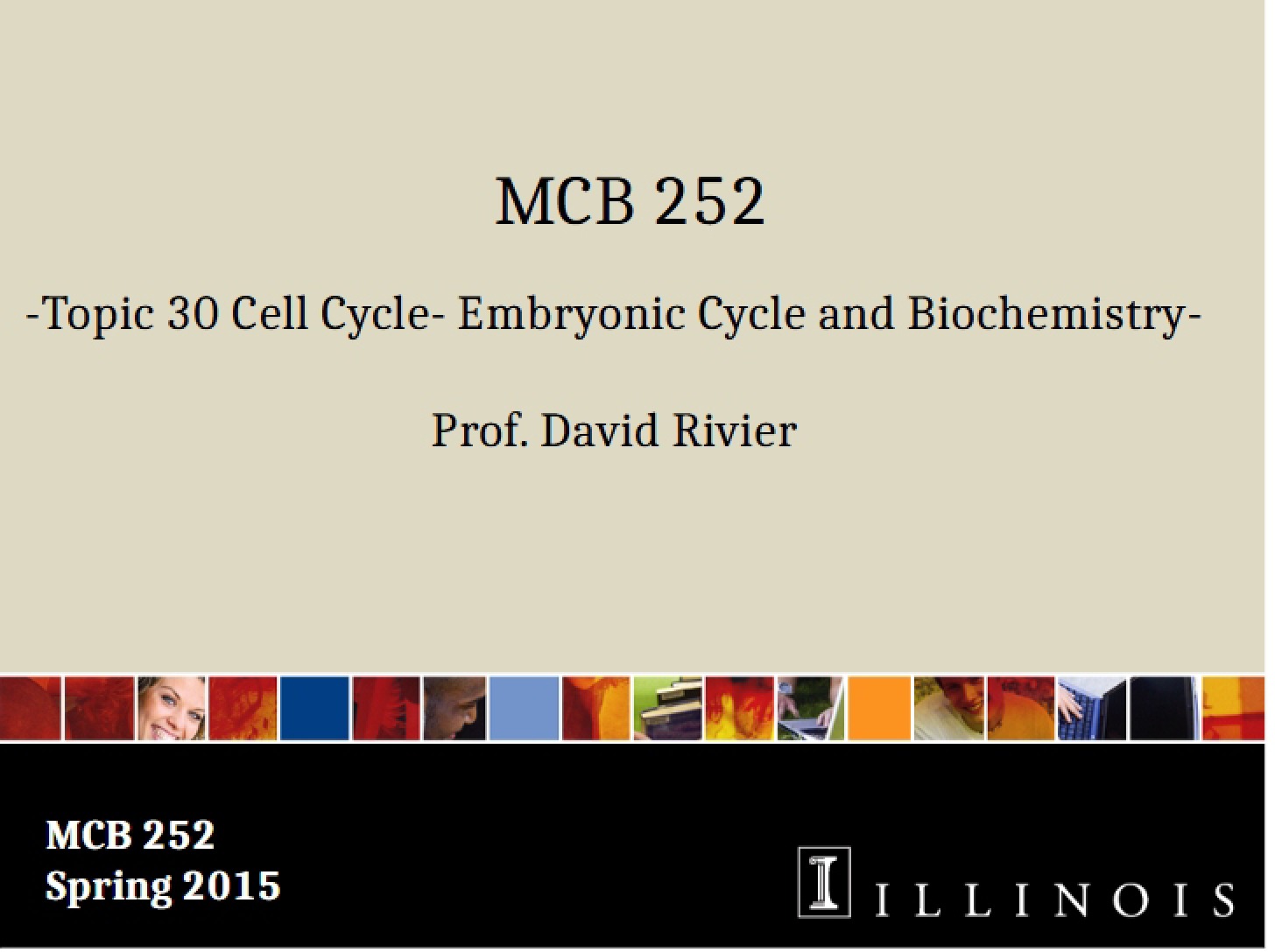 Biochemistry and Embryonic Cell Cycle