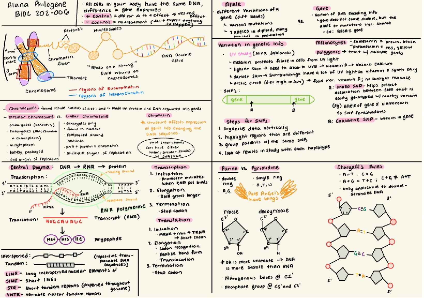Guide for Studying Exam 1