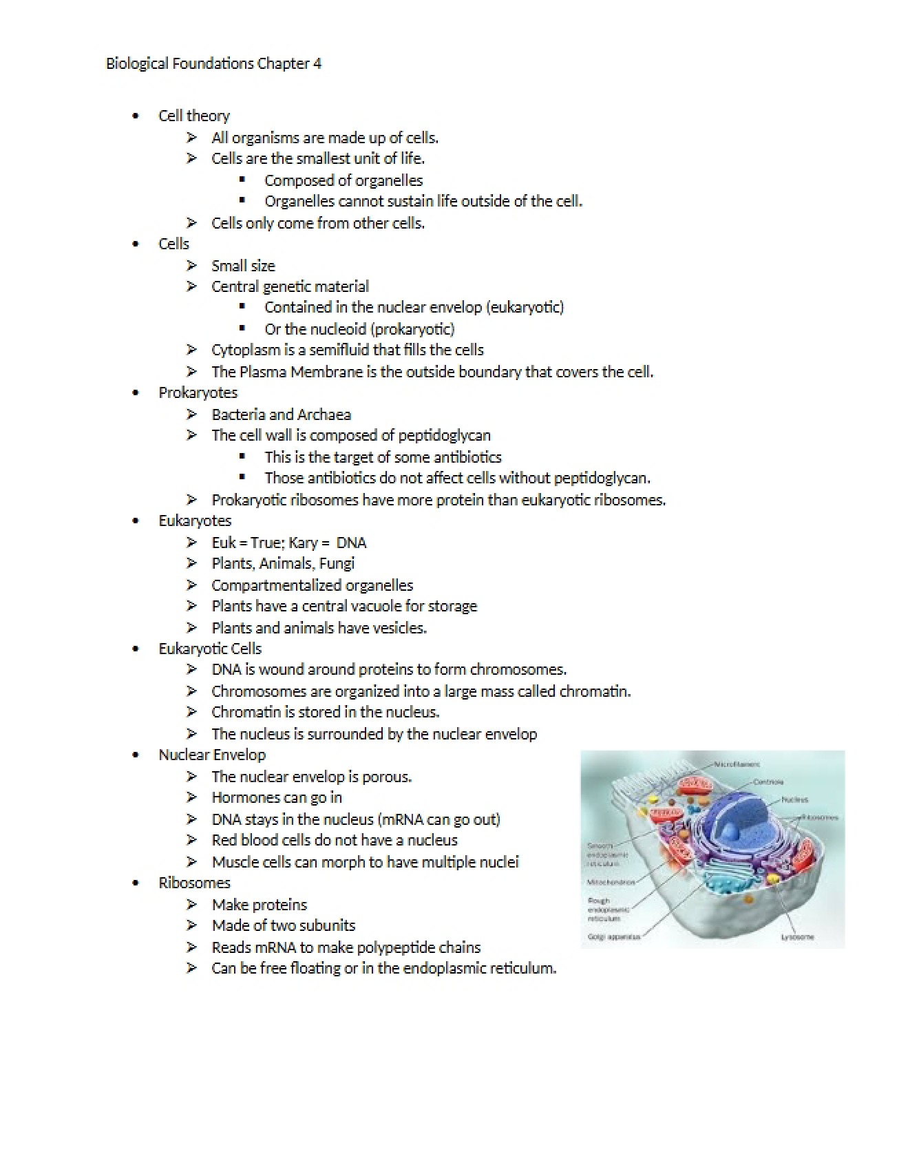 Basic Biological Foundations