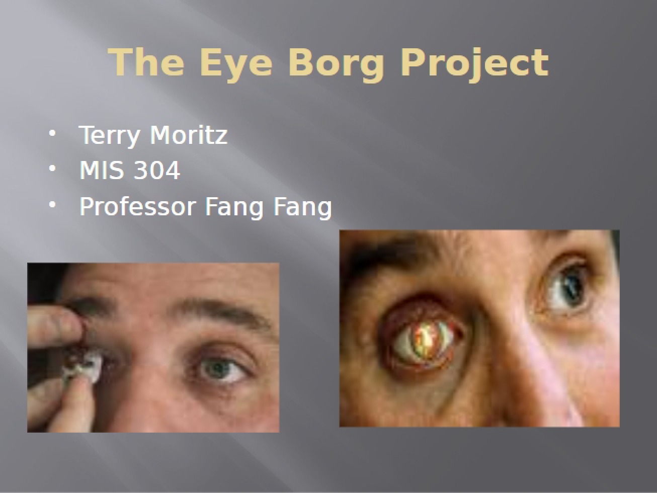 Project Eye Borg