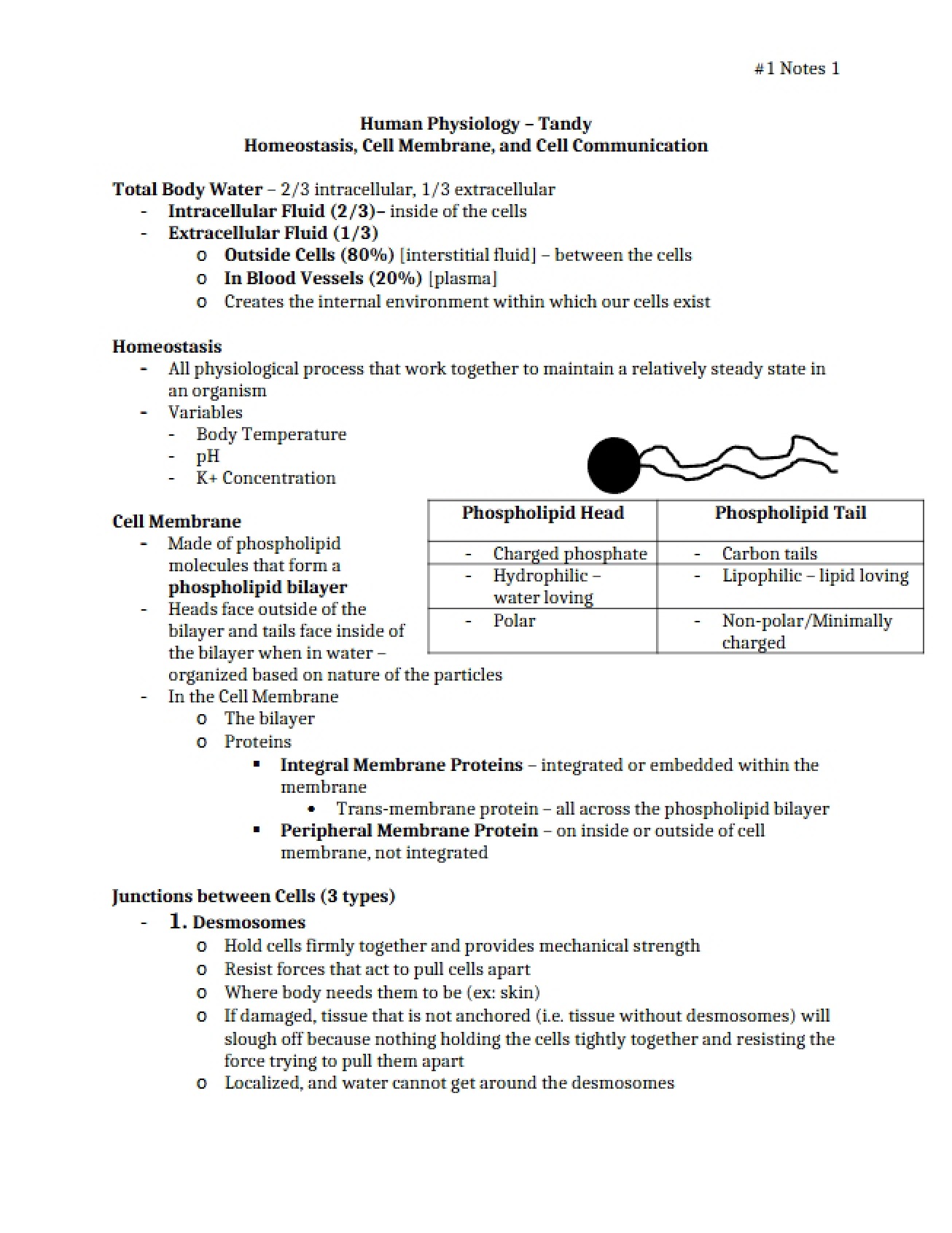 Human Physiology Lecture Notes