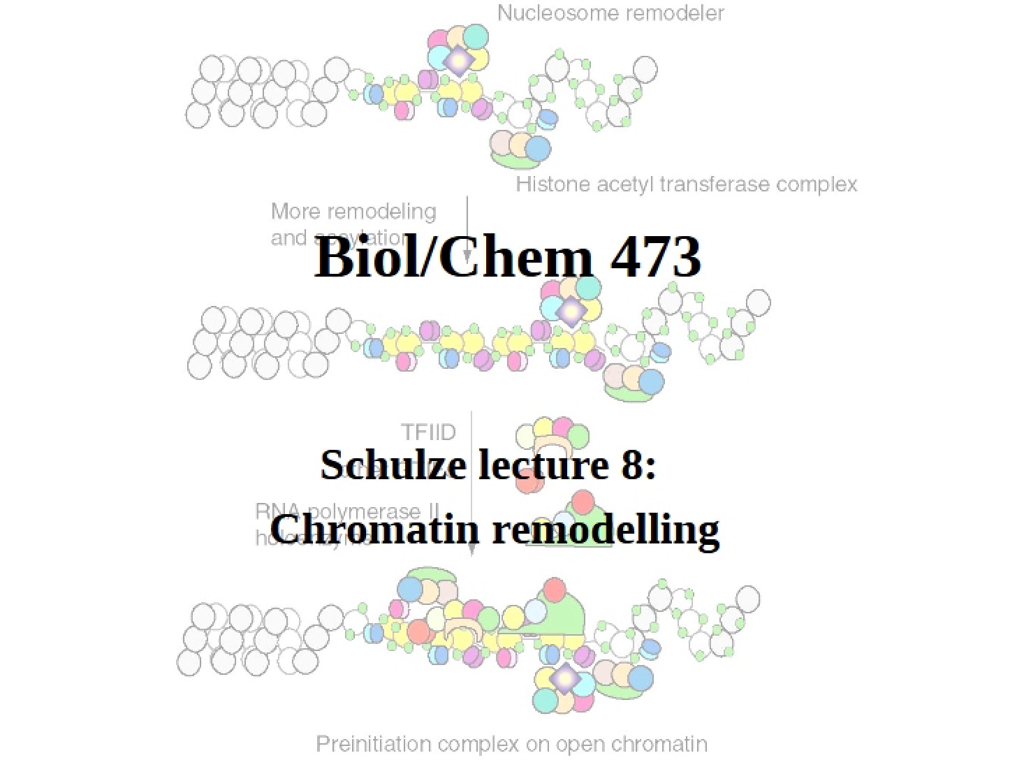 Remodelling Chromatin (Schulze Lecture 8)