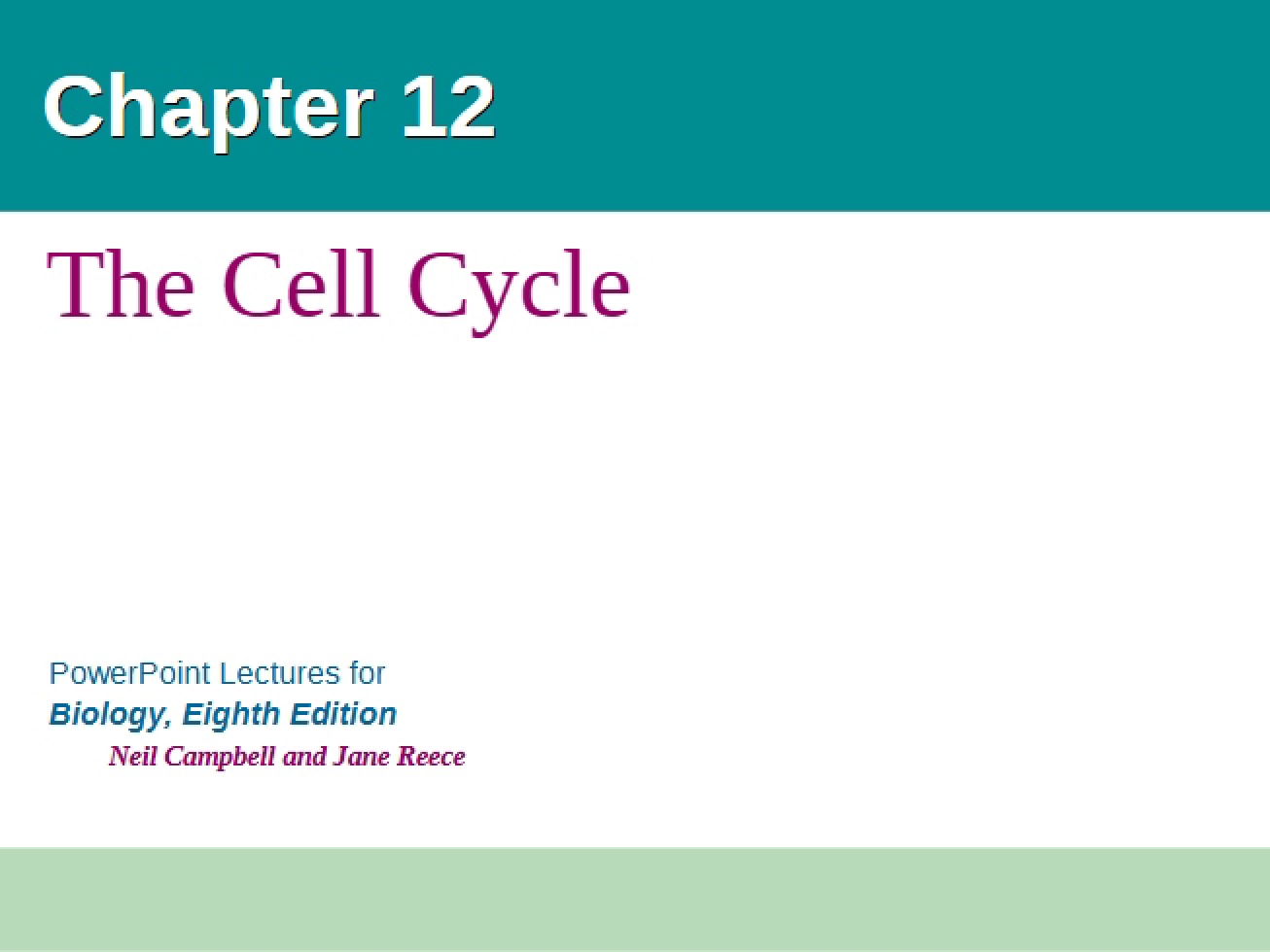 Twelfth Chapter An Overview of the Cell Cycle