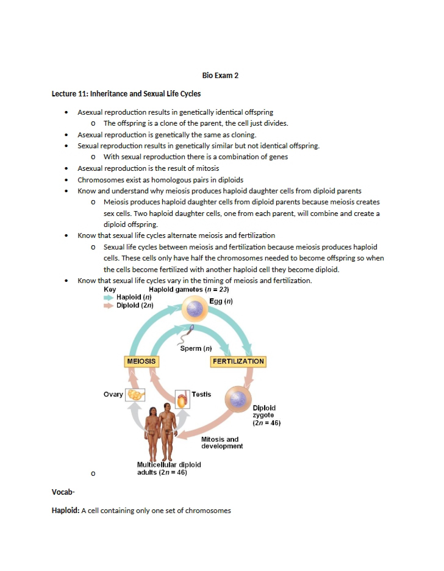 Sexual Life Cycles and Inheritance (Lecture 11)