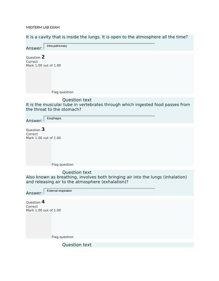Lab Exam - Midterm