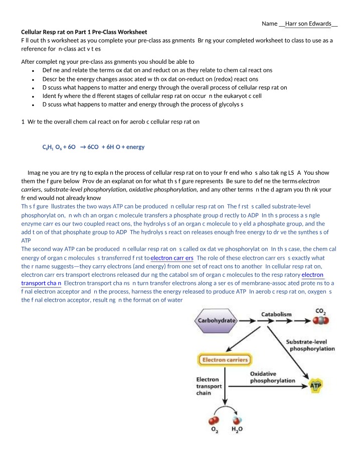Cellular Respiration Part 1 Pre-Class Worksheet Beta