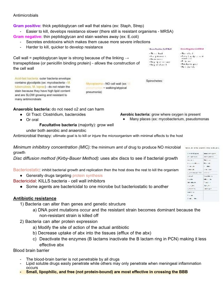 Notes on Antimicrobial Therapy Cell Wall Inhibitors