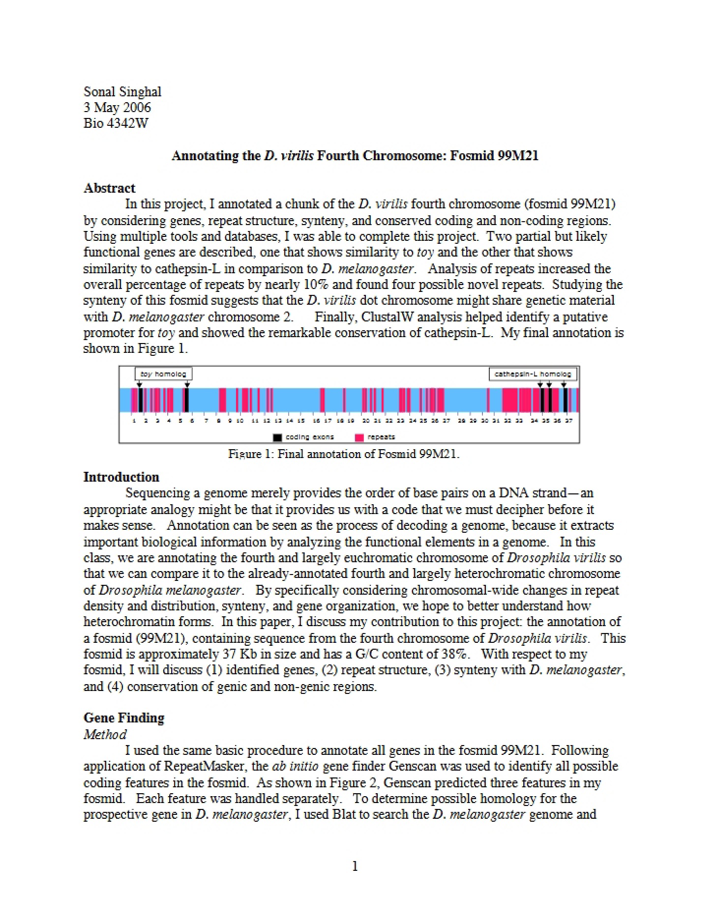 D. virilis Fourth Chromosome Annotation