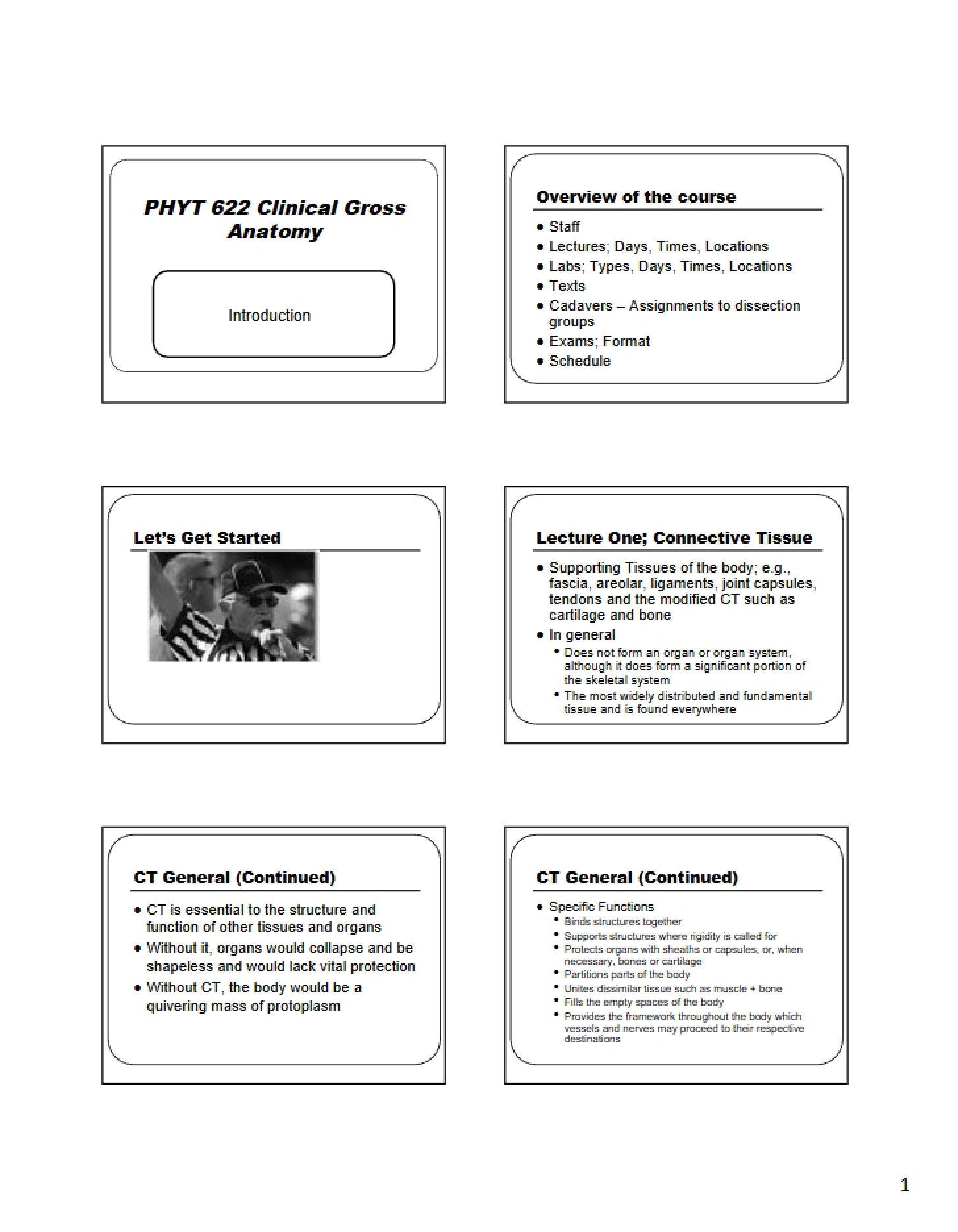 Gross Anatomy (Clinical)